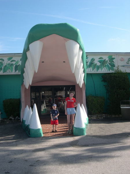 teeth